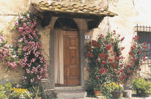 elegantdoor.jpg